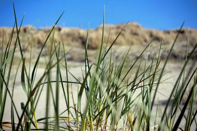 duinen